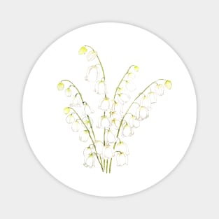 white lily of valley 2021 Magnet